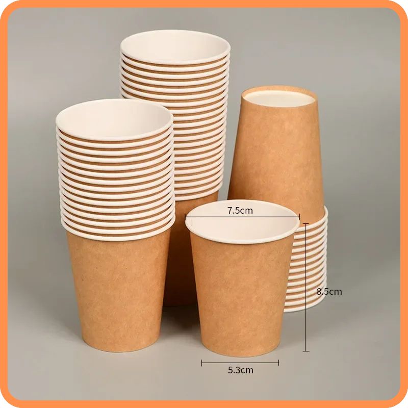 100-Pack 250ml Disposable Paper Cups